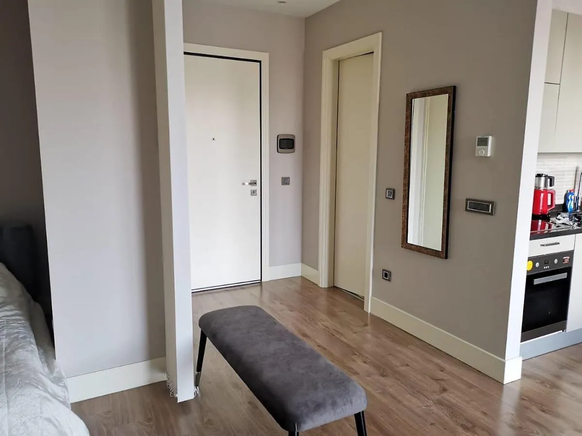 Istanbul Metropoll Atasehir Apartment 0*,
